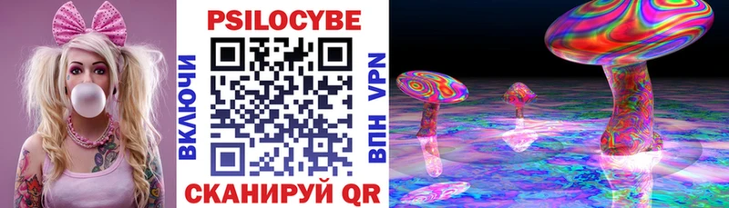 Псилоцибиновые грибы GOLDEN TEACHER Ковров